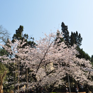 不同