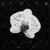 愛讓人變得脆弱 Love is the Disaster