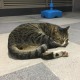 飄呀飄
