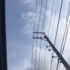 爛歌本歌