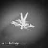 20250226 star falling