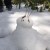 雪輪子