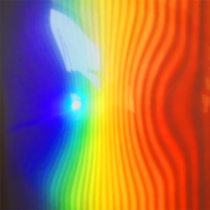 Transfer Student , 51Wee - Fxxkin'M.D.P