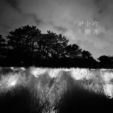渺小的樹洞 Shelter（demo）