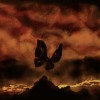 Burning Moth