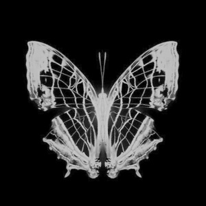 假如你從光明裡來-DEMO2020