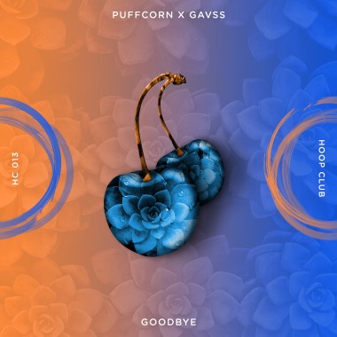 PuFFcorn & Gavss - Goodbye
