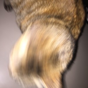 Night1 - Break & Rave