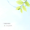小世界