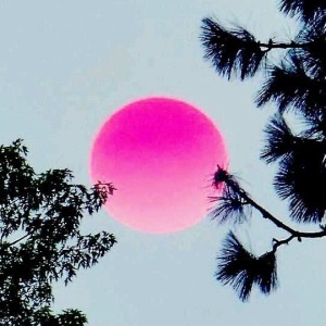 曖夜流螢 Tender Flow in the Night