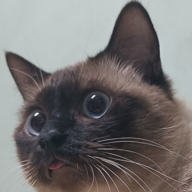 途