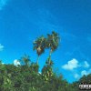 我阿姨也癢 花蓮版（urban version) （prod. By 打底音樂 isai Du sang)