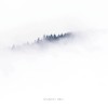 Fog 霧