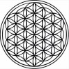Trippin'