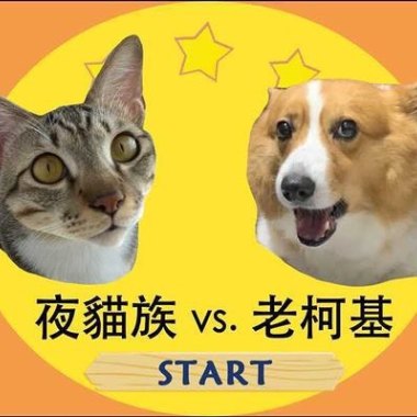 貓狗大戰小河岸場-炸波男子的堅強