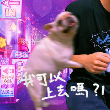 我可以上去嗎？