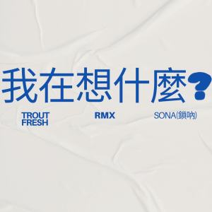我在想什麼?(鎖吶Remix)